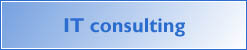 IT consulting